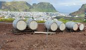 PICTURES/Sites Around Heimaey Island - Little of this and That/t_Gin (2).jpg